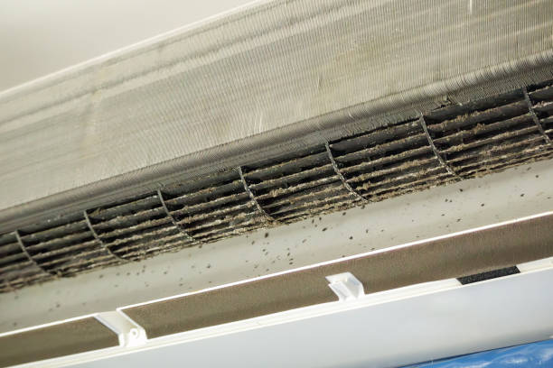 Best Air Duct Inspection  in East Syracuse, NY